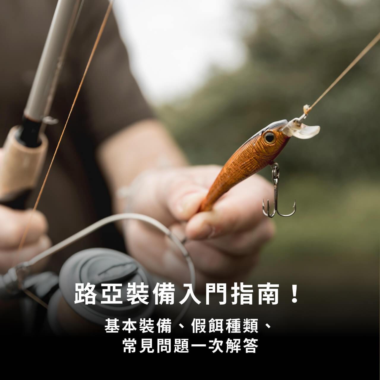 主要圖片